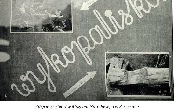 Galeria zdj z powojennych wykopalisk w Kamieniu Pomorskim