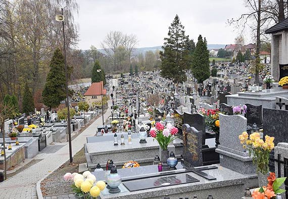 Bohaterowie „W pustyni i w puszczy” spoczywają na cmentarzu w Rudawie
