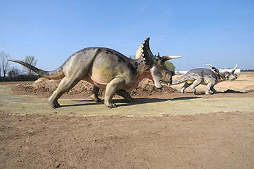 Dargob�dz: Powstaje wielki park dinozaur�w. Przyjd� na otwarcie! Zobacz film!