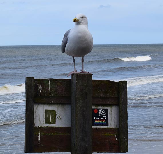 Wycieczka do Kołobrzegu