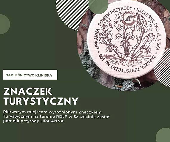 O lesie w internecie Le�nicy zapraszaj�