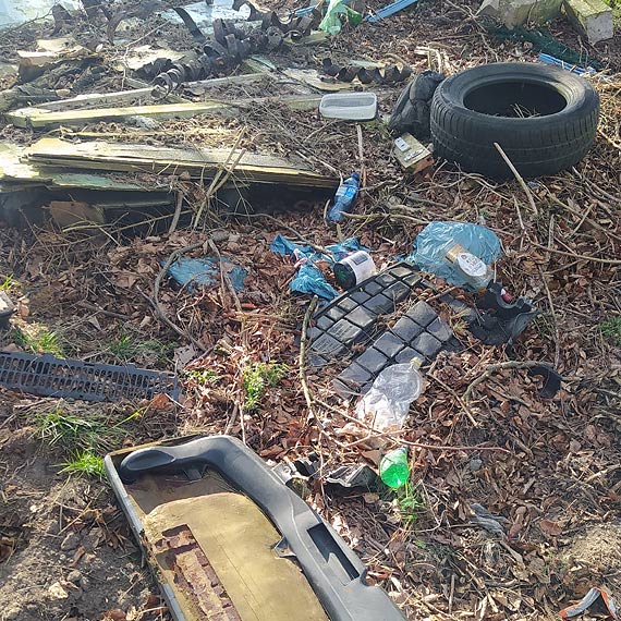 Czytelnik: Wysp Chrzszczewsk zalewa fala mieci!
