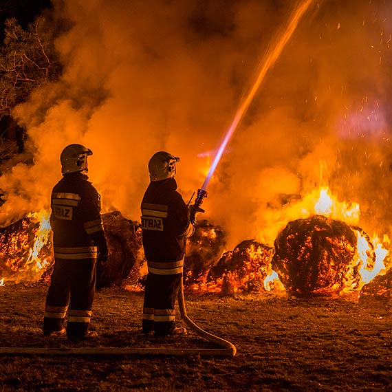 Straacy z Gminy wierzno walczyli z seri podpale. Zobacz fotogaleri!