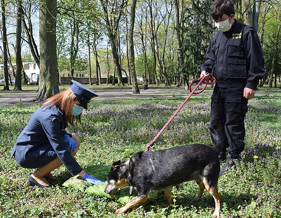 Legowiska dla zwierz�t ze schroniska