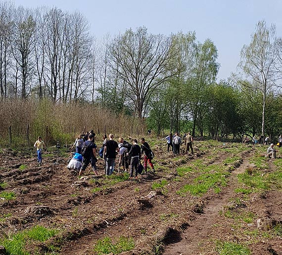 40 milion�w drzew posadzili le�nicy z RDLP w Szczecinie z my�l� o przysz�ych pokoleniach