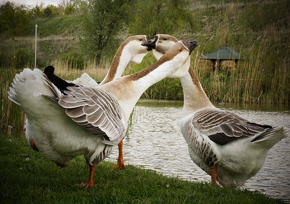 Sk�adowanie odpad�w nie musi by� niebezpieczne. Instalacje nowej generacji w pe�ni chroni� �rodowisko