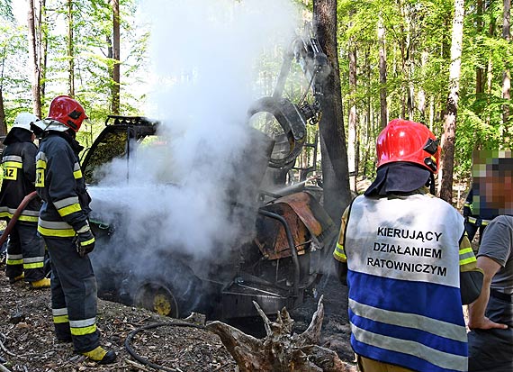 Robota palia si w rkach