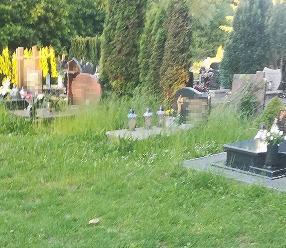 Czytelnik: Zaniedbany cmentarz w Kamieniu Pomorskim