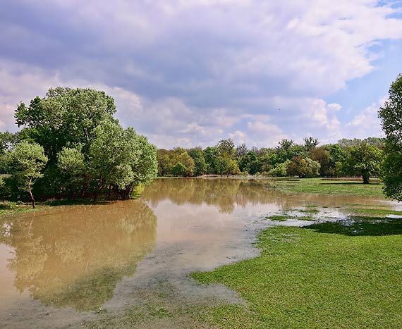 W Polsce mamy susz�. Ulewy i burze nie poprawiaj� sytuacji