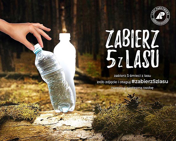 Zabierz 5 z lasu. Z roku na rok więcej śmieci w lasach