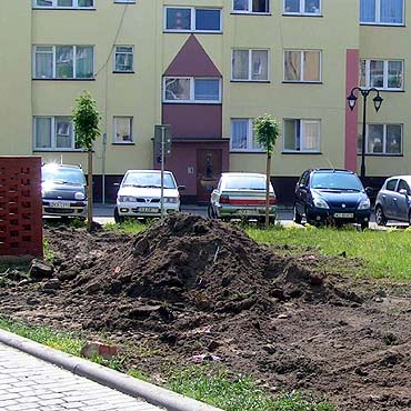Kamie� Pomorski: Bezmy�lne wykopki po wykopkach