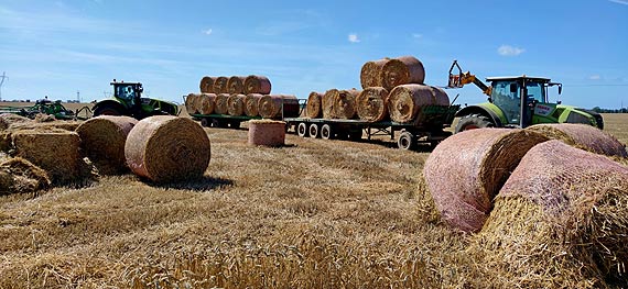 Stg somy na wycik poszed z dymem