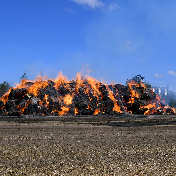 Stg somy na wycik poszed z dymem