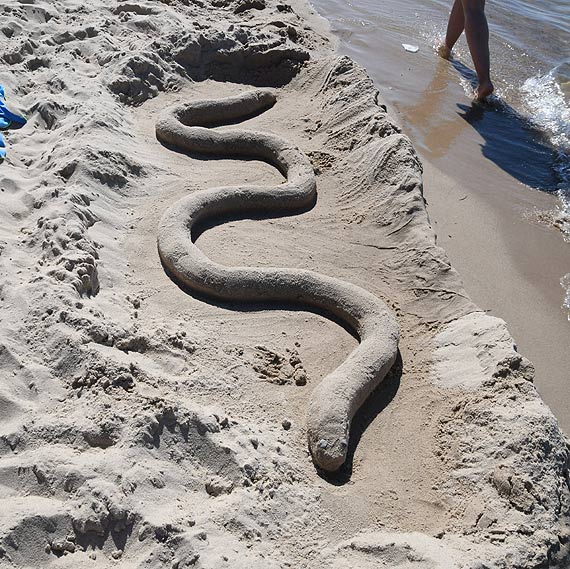 Sezon letni 2020 w peni