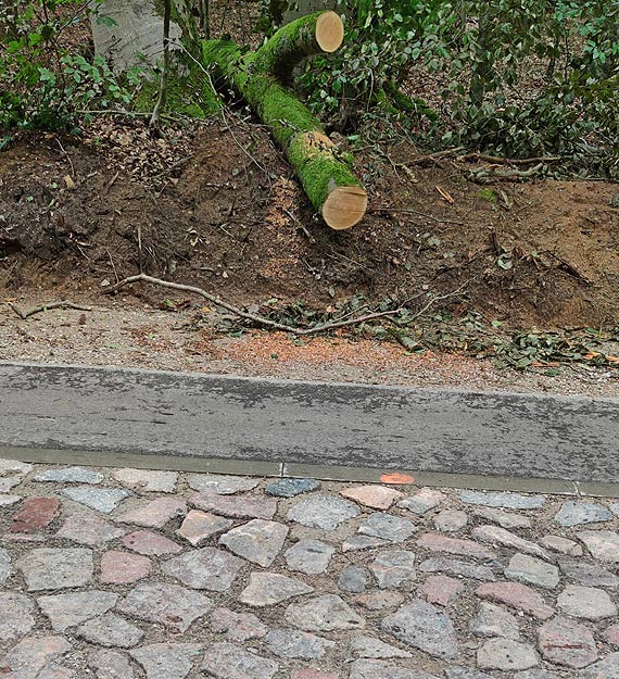 Piękna droga, ale może być niebezpieczna