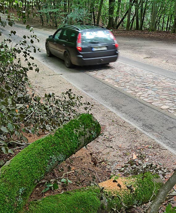 Piękna droga, ale może być niebezpieczna