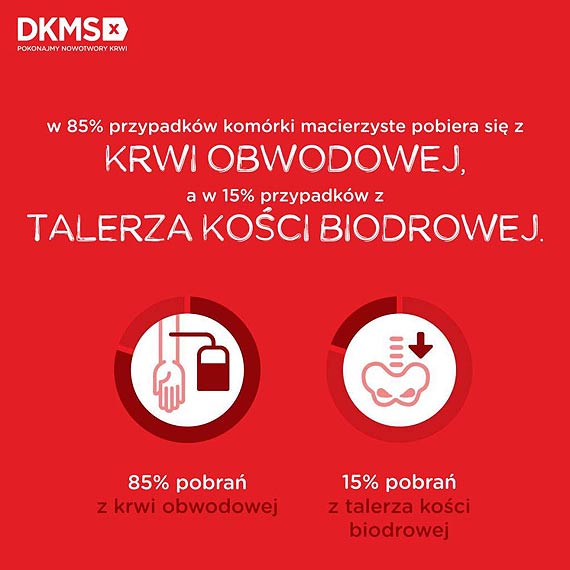Mieszkańcy powiatu gryfickiego i kamieńskiego ponownie mobilizują siły i walczą o Jasia i Igora!