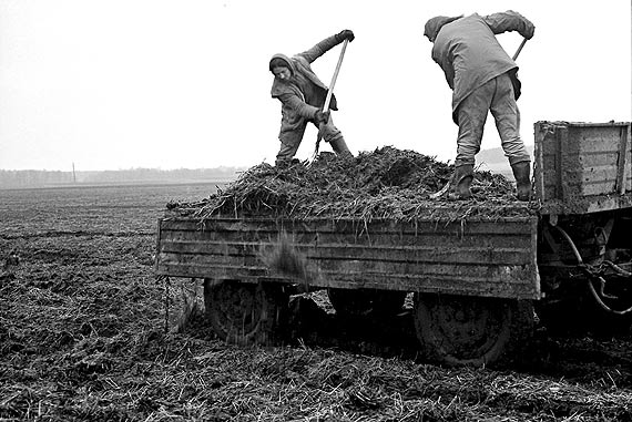 „Kobiety z PRL-u. Pikno i praca” – wystawa fotografii Andrzeja Ryfczyskiego