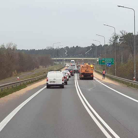 Rozsypane zboe utrudnio ruch na DK3 przy wjedzie do Midzyzdrojw