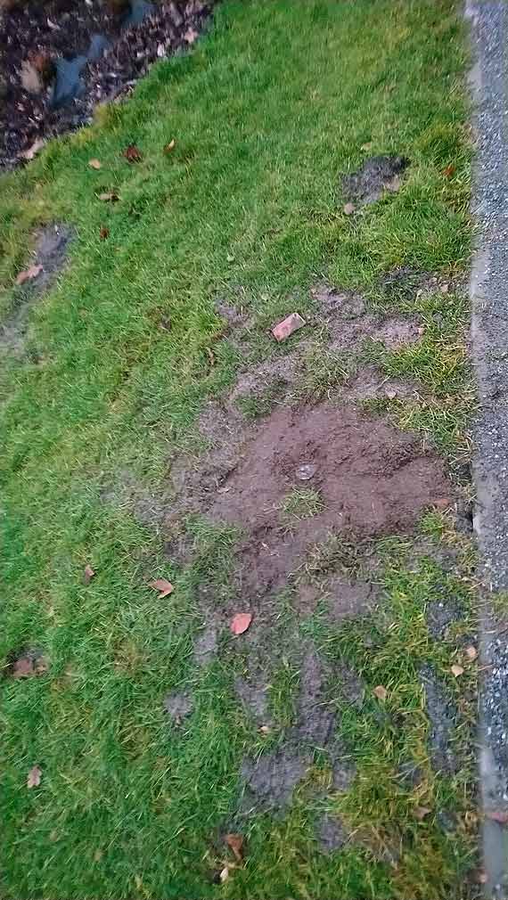 Najpierw asfalt potem rury? Sytuacja przy promenadzie jako żywo przypomina nonsensy sprzed lat!