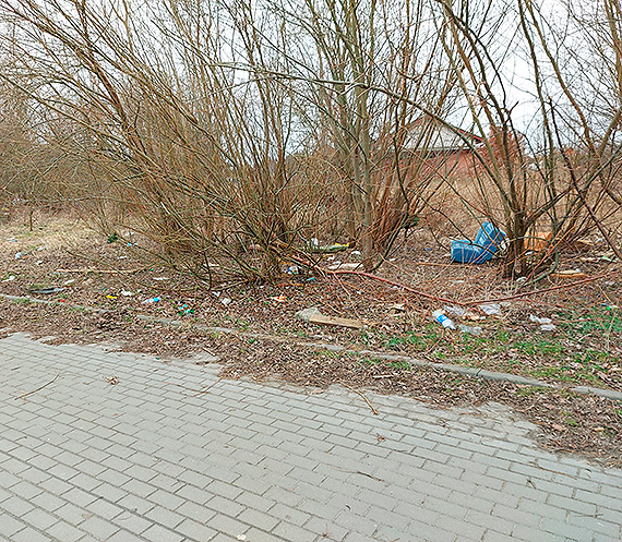 Mieszkaniec: Czysto w miecie