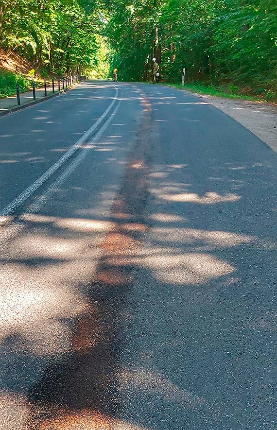 Plama oleju na jezdni zagraaa kierowcom. Wezwano straakw
