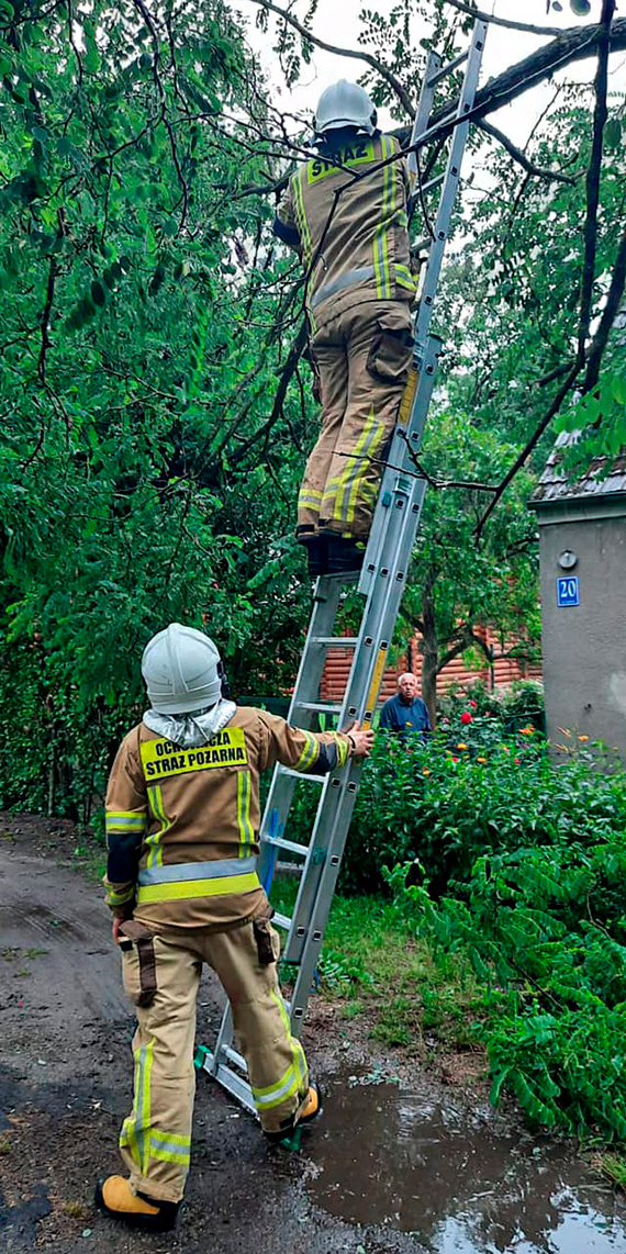 Strażacy z OSP Kołczewo w akcji! Usuwali skutki silnego wiatru