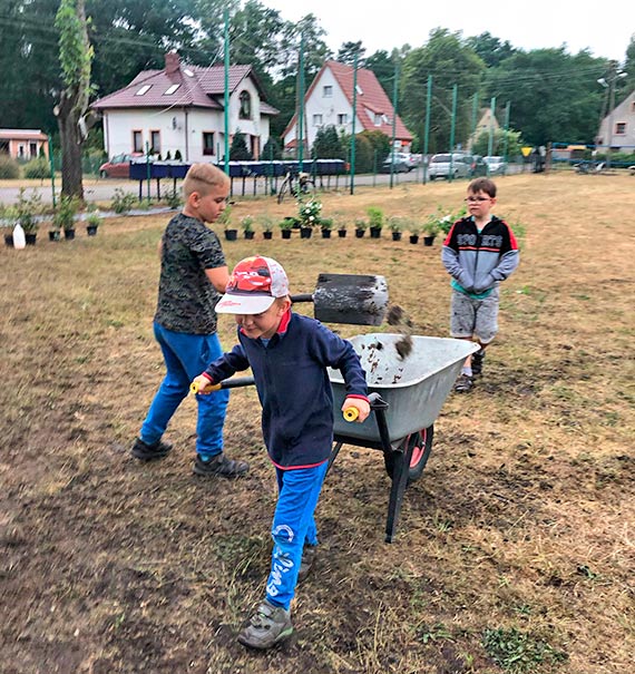 Zapylacze w Ładzinie mają już Dacze