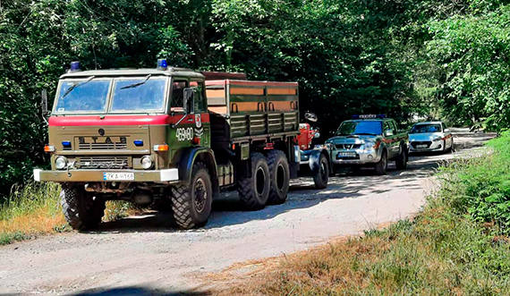 Strażacy z powiatu kamieńskiego ćwiczyli na wypadek pożaru lasu