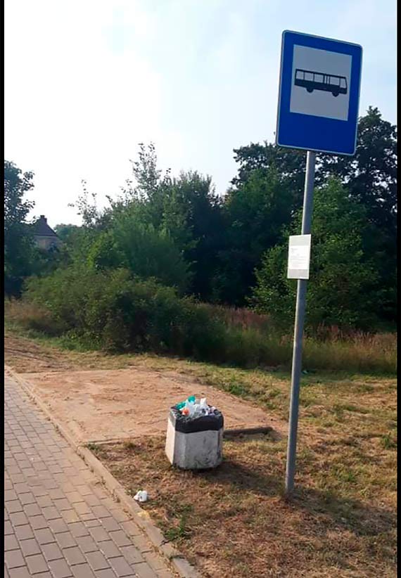 Rewitalizacja w Sołectwie Niemica