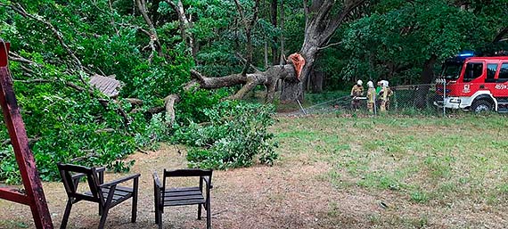 Ogromne drzewo runęło na drogę i uszkodziło budynek gospodarczy!