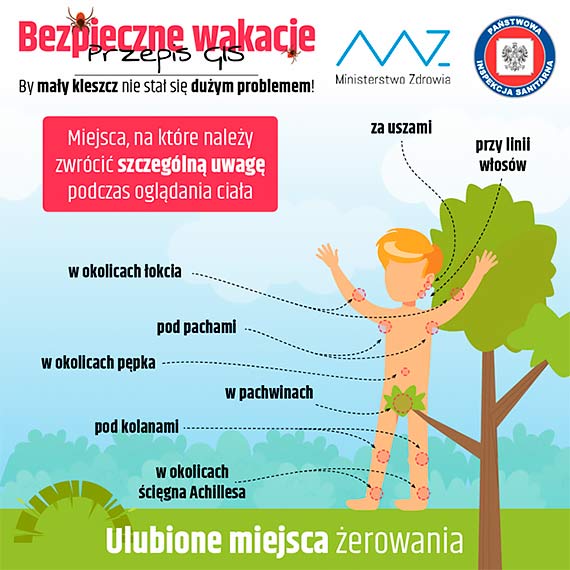 Kleszcze – małe ukąszenie duży problem
