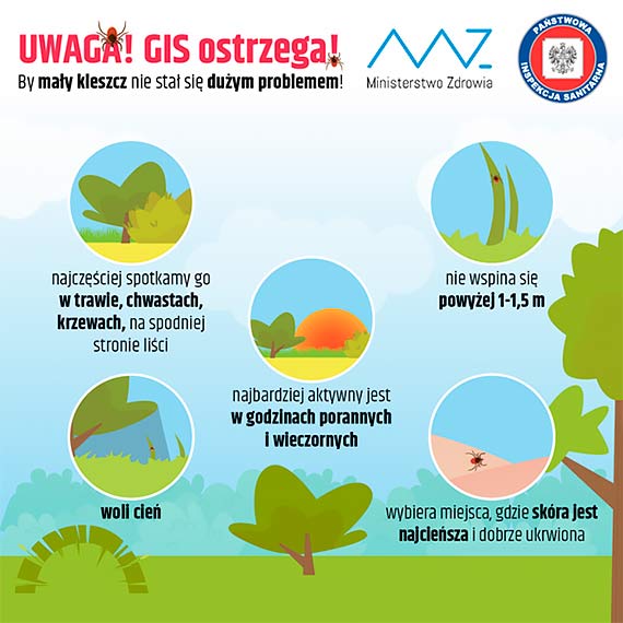 Kleszcze – małe ukąszenie duży problem