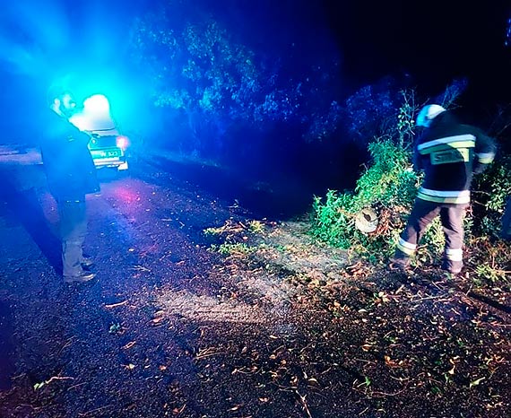 Strażacy usunęli powalone drzewo