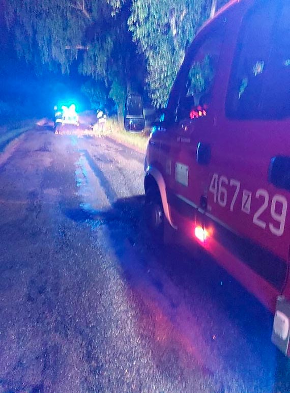 Strażacy usunęli powalone drzewo