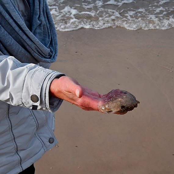 Jesienni turyści na międzyzdrojskiej plaży
