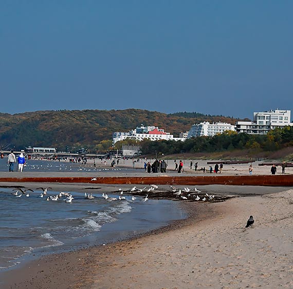 Jesienni turyści na międzyzdrojskiej plaży