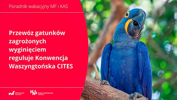 Handel zagroonymi gatunkami rolin i zwierzt jest karalny
