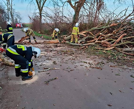 Straacy usuwali pochylone nad jezdni drzewo