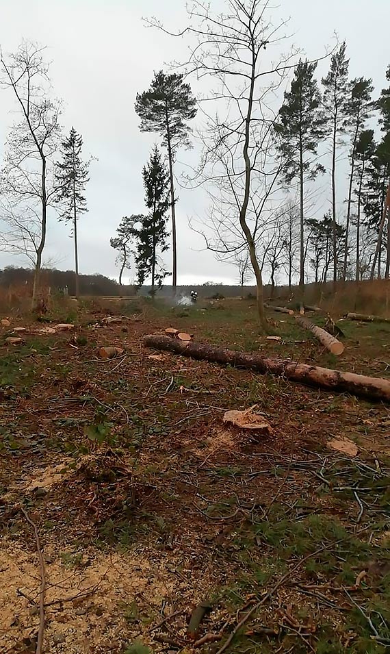 Niedogaszone ognisko postawio na nogi straakw ze wierzna