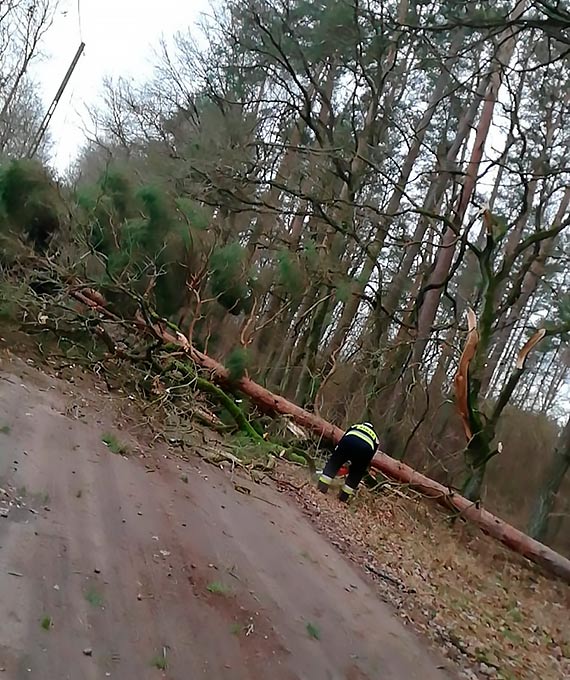 Strażacy ze Świerzna mieli pracowitą niedzielę. Zostali wezwani do powalonych drzew, a także przez brak prądu do zasilenia respiratora