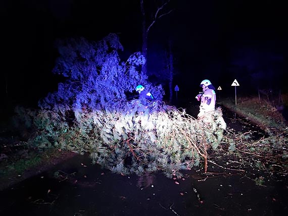 Pracowita noc strażaków ze Świerzna