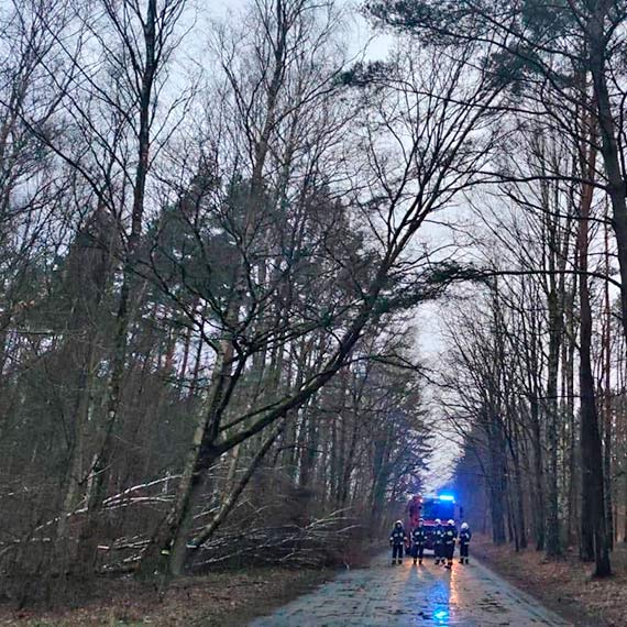 Wichura nie odpuszcza - straacy ze wierzna znowu w akcji
