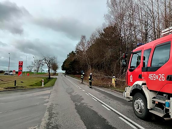 OSP Golczewo kilka razy wyjeżdżała usuwać skutki wichury