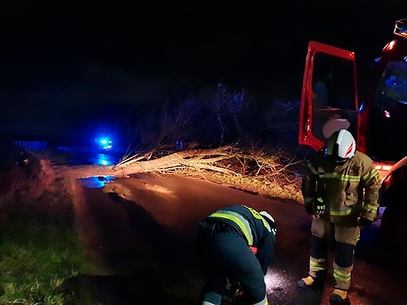 OSP Golczewo kilka razy wyjeżdżała usuwać skutki wichury