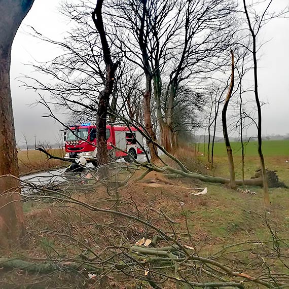 Znw mocniej wieje. W powiecie kamieskim straacy w zwizku z silnym wiatrem interweniowali ju 27 - razy