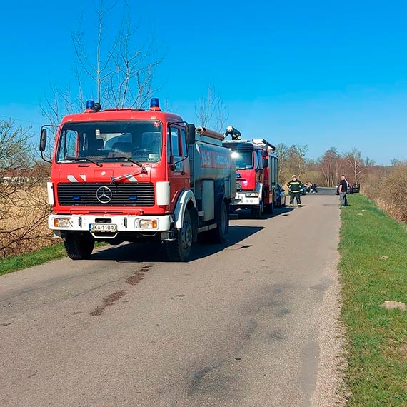 W Kukuowie pona trzcina