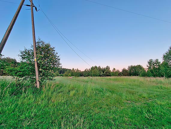 Zerwana linia elektroenergetyczna w Chominie - na pomoc ruszyli strażaci z OSP Świerzno