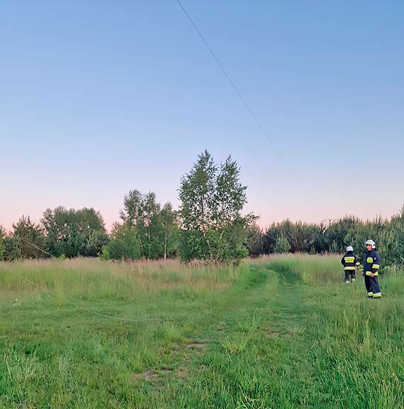 Zerwana linia elektroenergetyczna w Chominie - na pomoc ruszyli strażaci z OSP Świerzno
