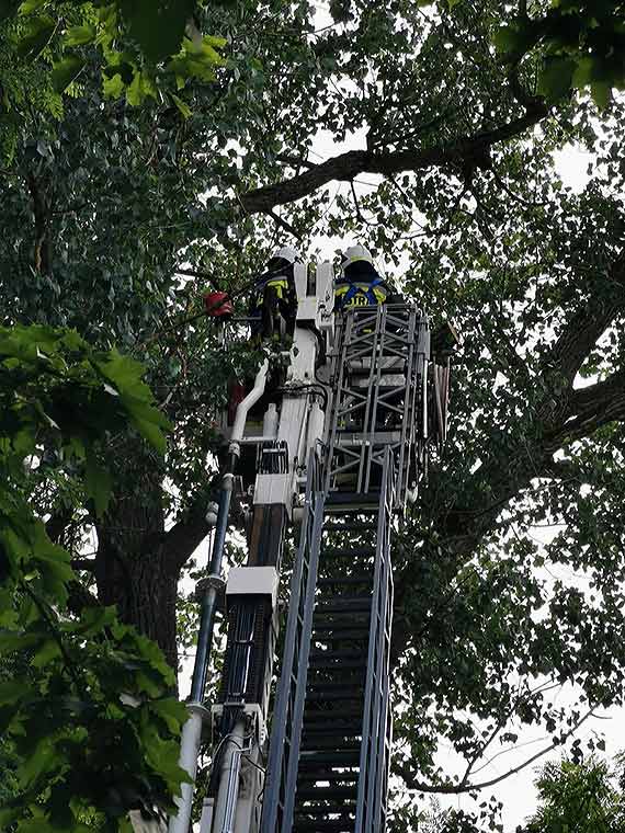 Gałąź zagrażała przechodniom. Strażacy szybko uporali się z niebezpieczeństwem